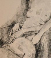 2013 01 28 g 60 min detail