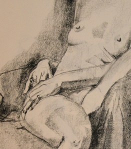 2013 01 28 g 60 min detail