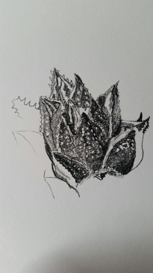 20150525_165813.jpg image